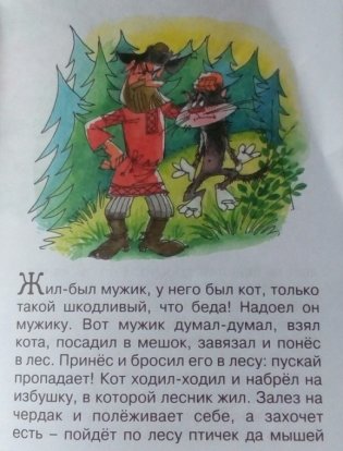 Кот и Лиса фото книги 5