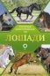 Лошади. Иллюстрированный гид фото книги маленькое 2