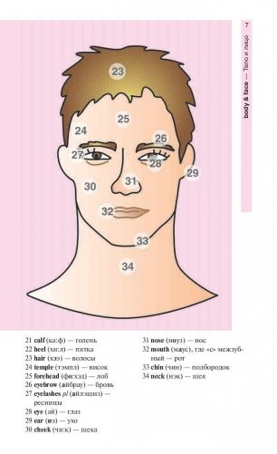 Английский язык в картинках фото книги 6