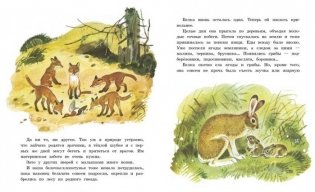 Белочка-хлопотунья фото книги 2