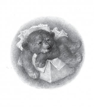 Когда мне хочется молчать фото книги 6