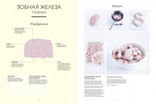 Подарок кулинару: Большая книга мясных деликатесов в подарочном пакете фото книги 5