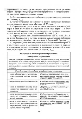 Русский язык на "отлично". 11 класс фото книги 11