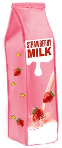 Пенал с молнией фото книги