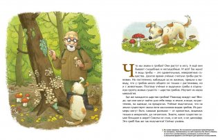 Грибное царство фото книги 2