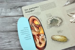 В мире динозавров. Книжка с окошками фото книги 5