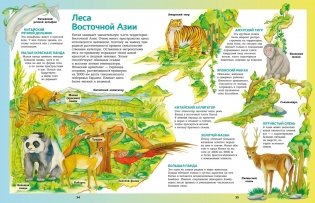 Атлас животных в картинках. Путешествие вокруг света фото книги 6