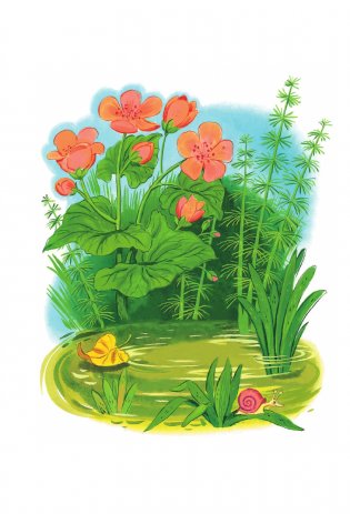 Сказки и стихи для самых маленьких фото книги 3