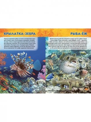 Подводный мир. Первая энциклопедия дошкольника фото книги 3