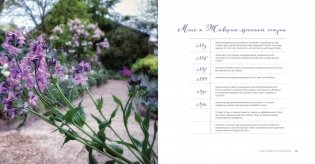 Клод Моне. Идеи импрессионизма для повседневной жизни фото книги 6