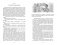 Поллианна выросла фото книги маленькое 5