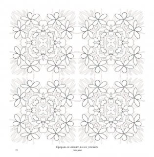 Флоросфера. Умиротворение фото книги 9