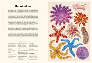 Океанариум фото книги 7