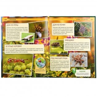 Насекомые фото книги 2