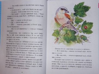 Сказки из леса фото книги 4