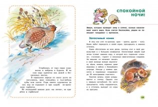 Большая лесная энциклопедия. Знакомимся с природой России фото книги 2