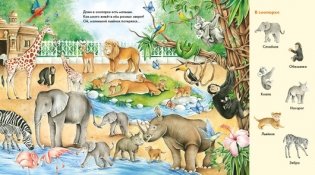 Весёлые пряталки. Транспорт. Весёлые пряталки. Зверята. Книга-перевёртыш фото книги 5