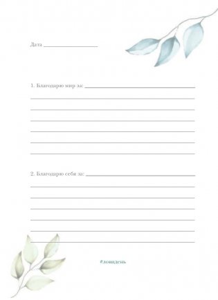 Лови день. Дневник благодарности фото книги 7