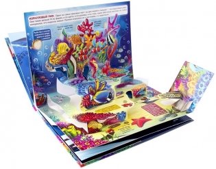 Живая планета. Моря и океаны. Книжка-панорамка фото книги 3