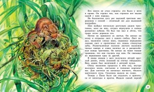 Сказки и рассказы о животных фото книги 4