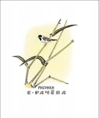 Берестяная трубочка фото книги 10