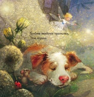 Пёс и звёздочка фото книги 2