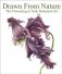 Drawn From Nature : The Flowering of Irish Botanical Art фото книги маленькое 2