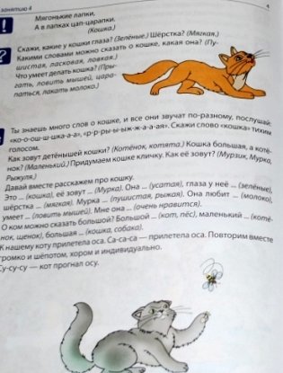 Рабочая тетрадь по развитию речи для детей 4-5 лет. ФГОС ДО фото книги 3