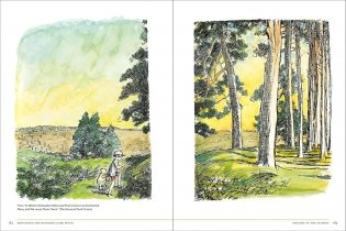 Natural World of Winnie-the-Pooh фото книги 7