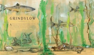 Fantastic Beasts and Where to Find Them фото книги 3