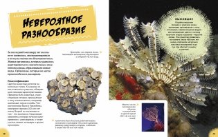 Эра динозавров. Жизнь в доисторические времена фото книги 5