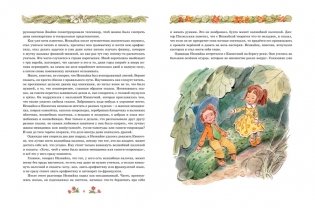 Незнайка в Солнечном городе фото книги 3