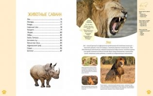Красочный мир животных. Энциклопедия фото книги 6
