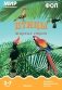 Птицы жарких стран: Наглядно-дидактическое пособие фото книги маленькое 2