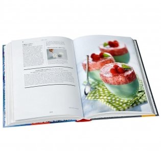 Гастрономическая энциклопедия. Том 12 фото книги 2