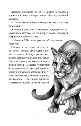 Месть пумы фото книги 6
