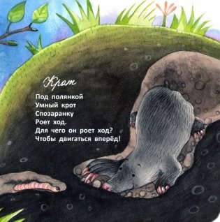 Цап-царап и чик-чирик фото книги 6