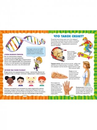 Как устроен человек. Первая энциклопедия для малышей фото книги 4