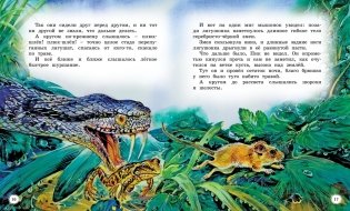Сказки и рассказы о животных фото книги 3