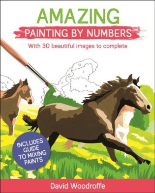 Amazing Painting By Numbers фото книги