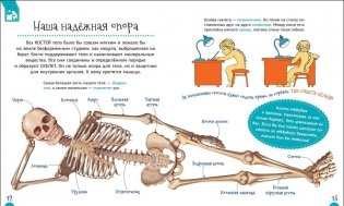 Тело человека. Первая энциклопедия фото книги 3