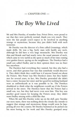 Harry Potter and the Philosopher's Stone фото книги 2