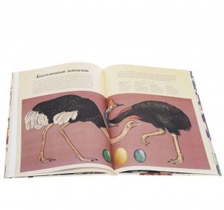 Анималиум фото книги 2