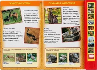 Музыкальная книжка игрушка для малышей. Стихи о животных фото книги 3