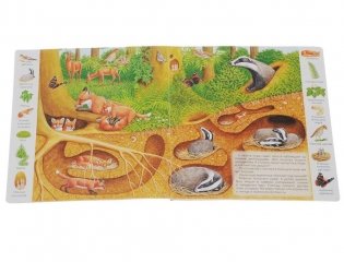 Где обитают животные фото книги 2