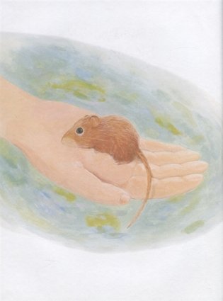 Рассказы и сказки о животных фото книги 3