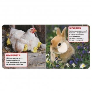 Кто где живет. Книжка-картонка с тактилом фото книги 2