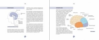 Биохакинг. Руководство по раскрытию потенциала организма фото книги 3