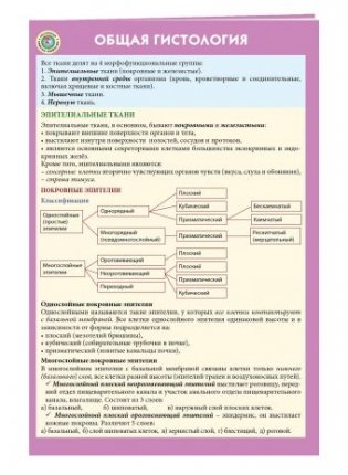 Общая гистология фото книги