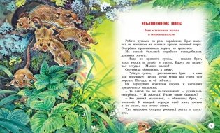 Сказки и рассказы о животных фото книги 2